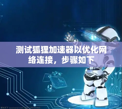 测试狐狸加速器以优化网络连接，步骤如下