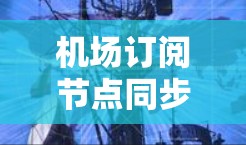 机场订阅节点同步管理及优化方案