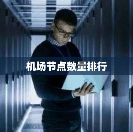 <strong>机场节点</strong>数量排行