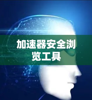 加速器安全浏览工具 加速器安全浏览工具