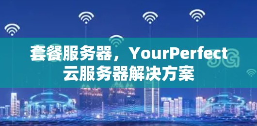 套餐服务器,YourPerfect云服务器解决方案 套餐服务器,YourPerfect云服务器解决方案