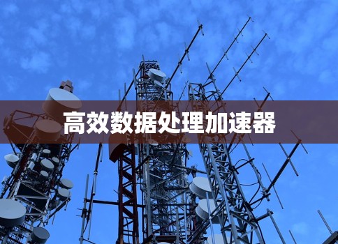 高效数据处理加速器 高效数据处理加速器