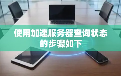 使用加速服务器查询状态的步骤如下 使用加速服务器查询状态的步骤如下