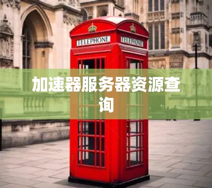 加速器服务器资源查询