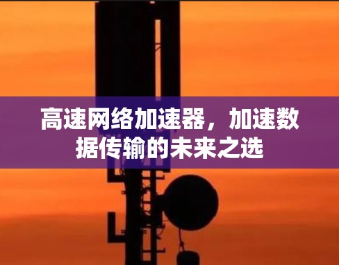 高速网络加速器，加速数据传输的未来之选