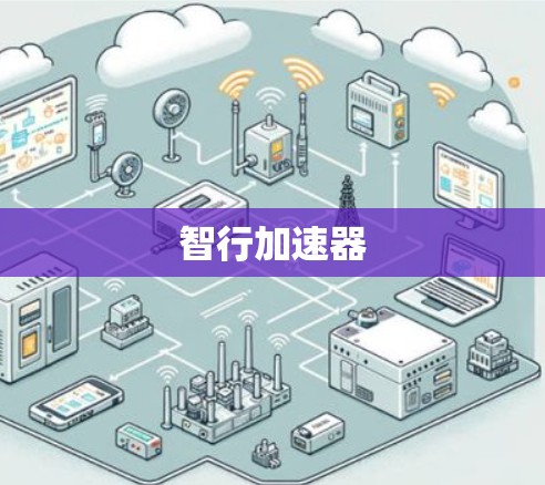 智行加速器
