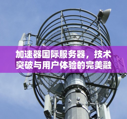 加速器国际服务器,技术突破与用户体验的完美融合 加速器国际服务器,技术突破与用户体验的完美融合