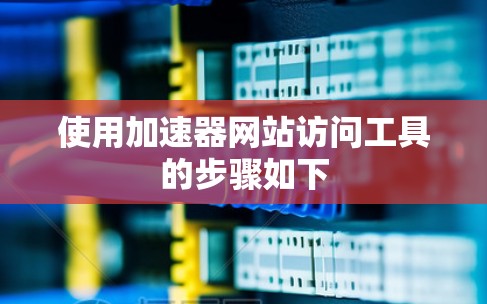 使用加速器网站访问工具的步骤如下