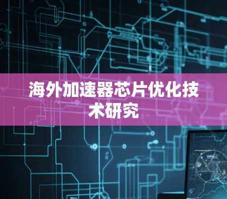 海外加速器芯片优化技术研究