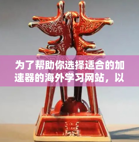 为了帮助你选择适合的加速器的海外学习网站，以下是一个系统化的推荐过程