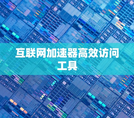 互联网加速器高效访问工具 互联网加速器高效访问工具
