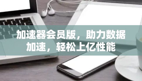 加速器会员版,助力数据加速,轻松上亿性能