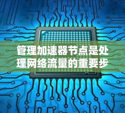 管理加速器节点是处理网络流量的重要步骤,以下是详细的步骤指南