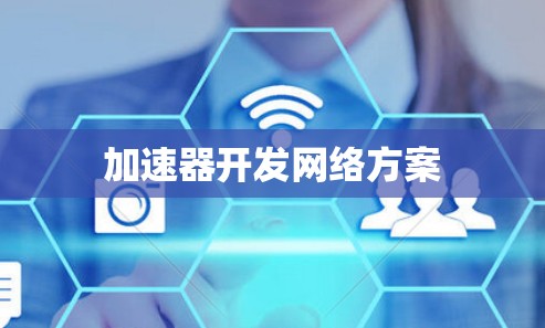 加速器开发网络方案