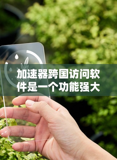 加速器跨国访问软件是一个功能强大的工具，旨在让同一个浏览器能够访问不同国家或地区的网络内容，支持跨平台和跨语言访问。以下是详细的步骤和考虑因素